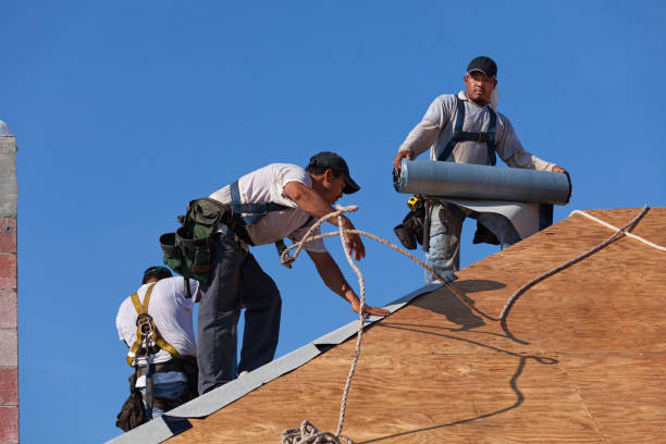 Professional Roofing Contractor in Hartwell, GA